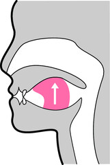 正しい舌の位置