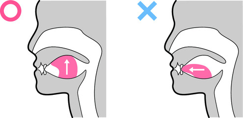 正しい舌の位置 © わさび