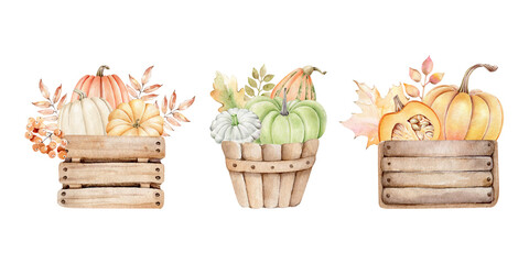 Fototapeta na wymiar Pumpkins in wooden box.Autumn composition