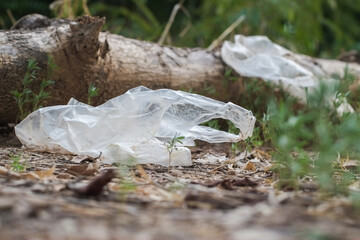 Garbage from plastic bag that are thrown away on ground in forest which is a problem and pollution...