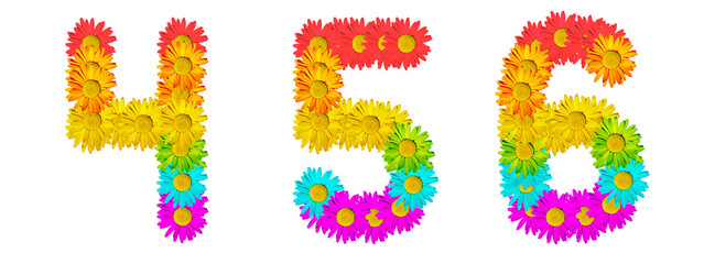 The numbers 4, 5, 6 are made of multi-colored daisies. The colors of the rainbow
