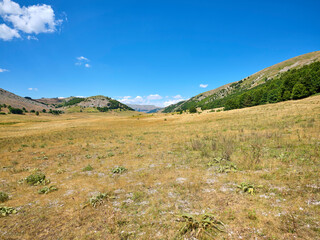 Passo Godi in the Abruzzese Apennines..Pastures and woods in the valley of Passo Godi at the foot of Monte Sella Rocca Chiarano which is a peak of the Marsicani Mountains