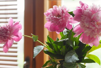 Fresh bouquet of pink peonies flowers on the background of the window. Country style.