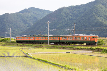 115系電車（しなの鉄道湘南色）