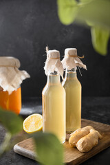 Homemade Kombucha in two bottle with honey, lemon and ginger on black background. Heathy organic probiotic drink. Vertical format. Close up.