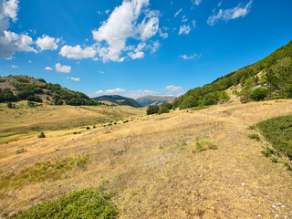 Fototapeta na wymiar Passo Godi in the Abruzzese Apennines..Pastures and woods in the valley of Passo Godi at the foot of Monte Sella Rocca Chiarano which is a peak of the Marsicani Mountains