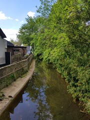 Fototapeta na wymiar River Granta in Linton village Cambridgeshire June 2021