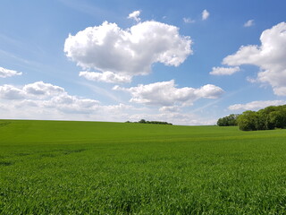 Windows wallpaper like views on fields in Linton village in Cambridgeshire
