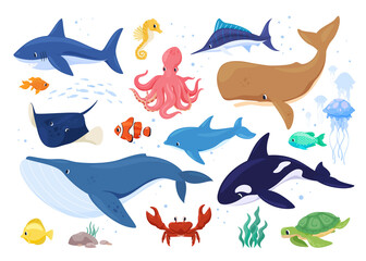 Collection of sea animals vector flat illustration. Set of funny underwater habitats isolated