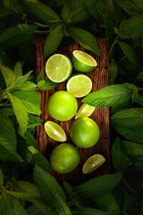 Limes and growing mint in the garden.