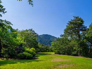 Fototapeta na wymiar Square in the top of hill in a park (Yahiko park, Yahiko, Niigata, Japan)