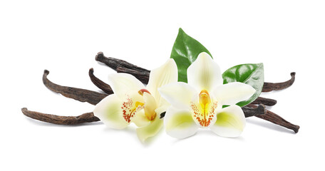 Fototapeta na wymiar Dried aromatic vanilla sticks, beautiful flowers and green leaves on white background