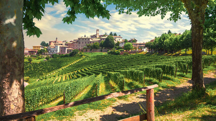 Neive village and Langhe vineyards, Unesco Site, Piedmont, Northern Italy Europe. - obrazy, fototapety, plakaty