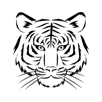 2 249 Best 肉食動物 Images Stock Photos Vectors Adobe Stock