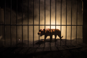 Silhouette of a tiger miniature standing in a zoo cage dreams of freedom. Creative decoration with...