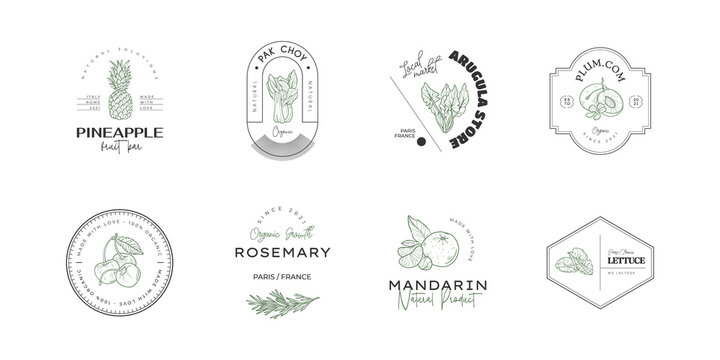 Healthy food logo template. Hand drawn illustrations for for restaurant, bar, vegan, healthy and organic food, market, farmers market, cooking school, food truck, delivery service.