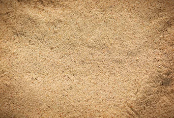 Photo sur Plexiglas Doux monstres Texture de sable naturel sur la plage