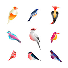 set of bird