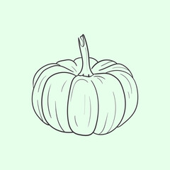 Pumpkin Line vector illustration. Detailed Food icon for mobile concept, print, menu, and web apps. For for restaurant, bar, vegan, healthy and organic food, market, farmers market.