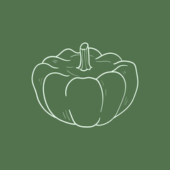 Pattypan squash Line vector illustration. Detailed Food icon for mobile concept, print, menu, and web apps. For for restaurant, bar, vegan, healthy and organic food, market, farmers market.