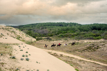 Obraz premium group of horse riders riding horses on the sand dunes