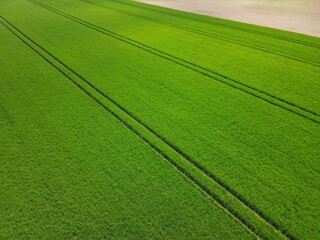 Tractor stripes in the green agriculture field