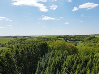 Fototapeta na wymiar Aerial view of forest with nice blue cloudy sky 
