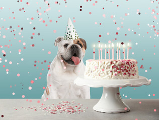 Cute dog with party hat and delicious birthday cake on light blue background