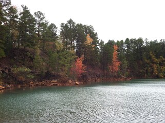 Arkansas 5
