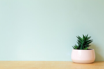 Office table with a plant on a background of an empty colored wall. Home office table and workplace...
