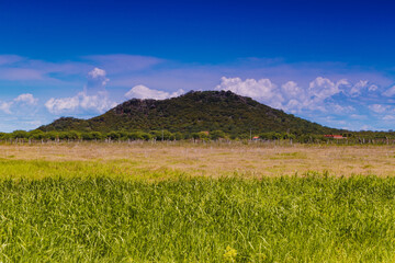 Fototapeta premium mountain with green vegetation in farm