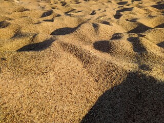 sand on the beach during the daytime in summer.