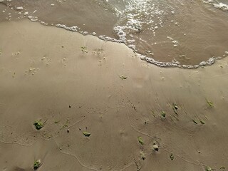 high tide on a sandy shore in the daytime top view.