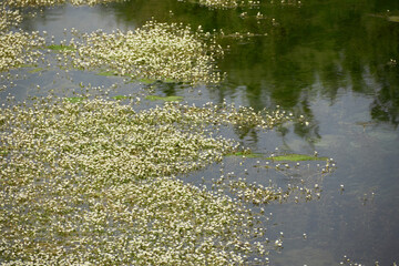 Tranquil nature landscape view of Albanian nature