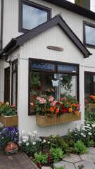 Fototapeta na wymiar house with flowers, Ullapool, Scotland