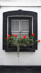 Fototapeta na wymiar window with flowers, geranium, Fowey, Cornwall, United Kingdom