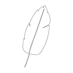 Banana leaf drawn by one line. Floral sketch. Minimal print. Isolated. Vector illustration.