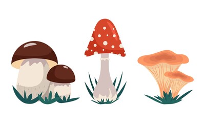 Variety of mushrooms, set of mushrooms - alien and edible, vector clip art in flat style. Isolated.
