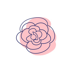 continuous line drawing of beautiful flowers. minimalism, beauty