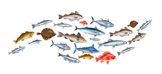 Sea Fish Realistic Concept