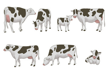 watercolor style cow on white background It's a cute cartoon set with a calf standing, sitting, walking, eating grass.