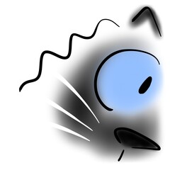 Cat looks with one eye