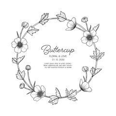 Hand drawn buttercup floral greeting card background.