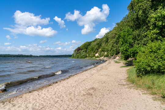 view of the Roskilde Fjord with a sandy beach and forest on the shoreline