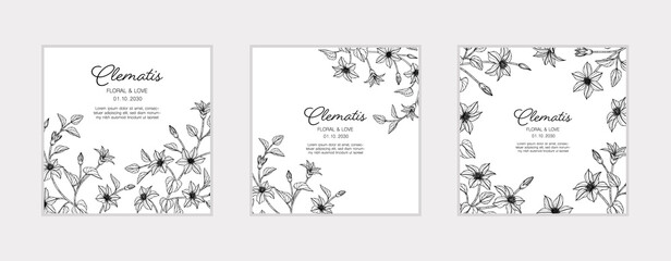 Hand drawn clematis floral greeting card background..