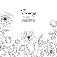 Hand drawn peony floral greeting card background..