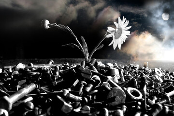 Chamomile growing from bolts and nuts against a gloomy sky.