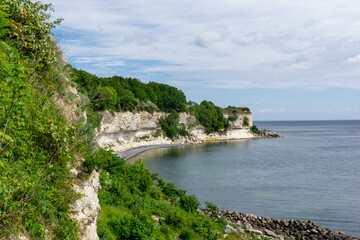 beautiful ocean landscape with steep white chalkstone cliffs and forest