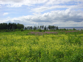 White clouds over an endless multi-colored field. Center of Russia