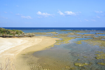 Fototapeta na wymiar 徳之島の美しい青い海